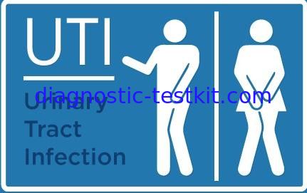 Disposable Home Urine Test Kit , Urine Infection Test Strips For Detecting Leukocytes / Nitrite